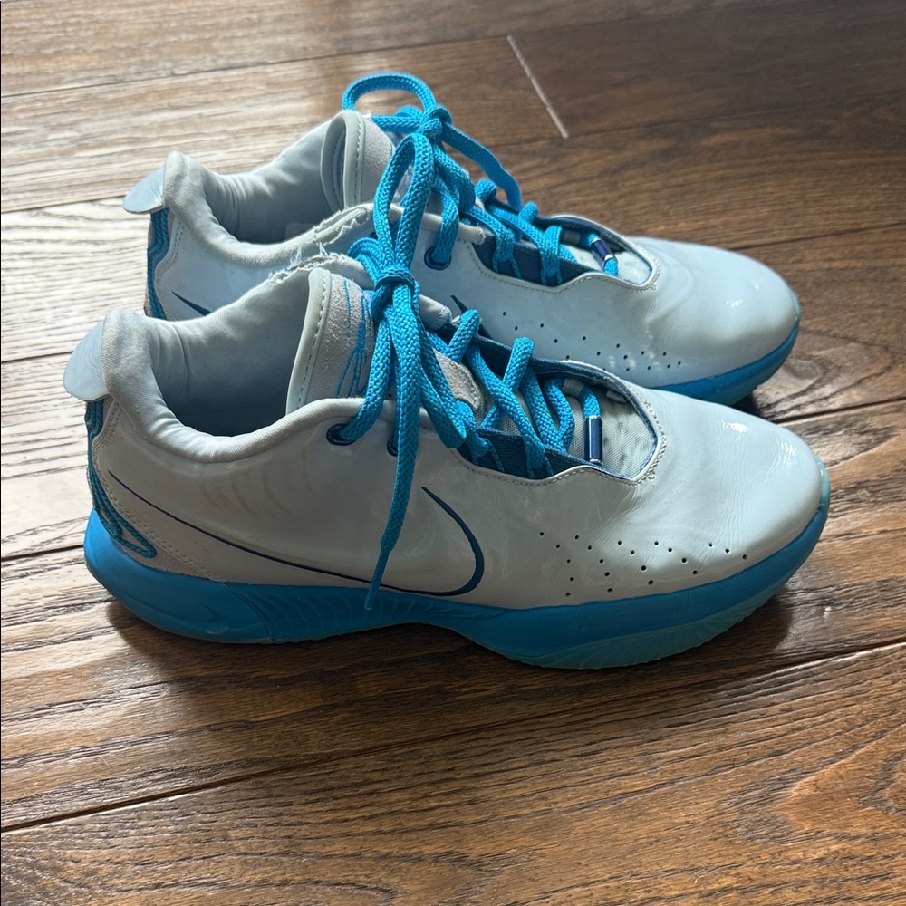 Nike LeBron 21 Men's Athletic Shoes
